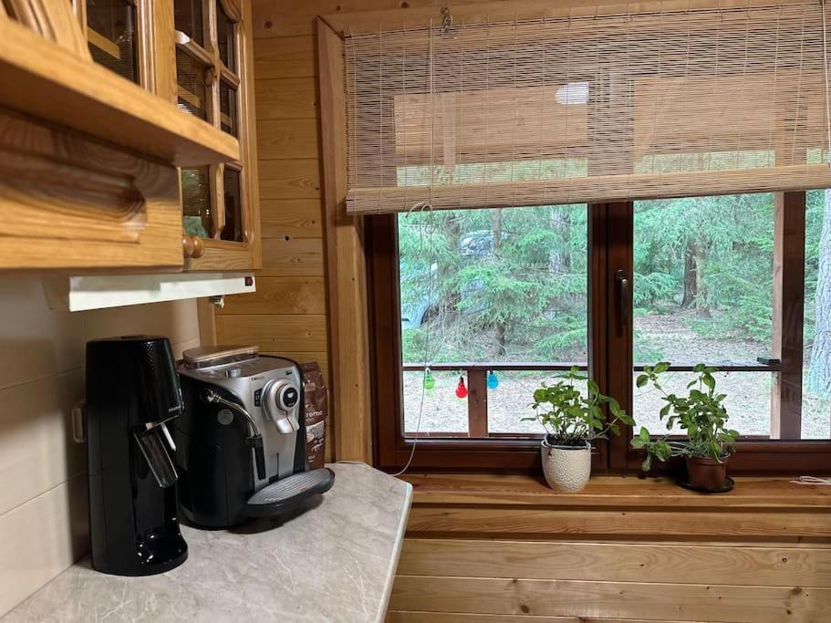 Lesna Nad Jeziorem Gim Na Mazurach Holiday home