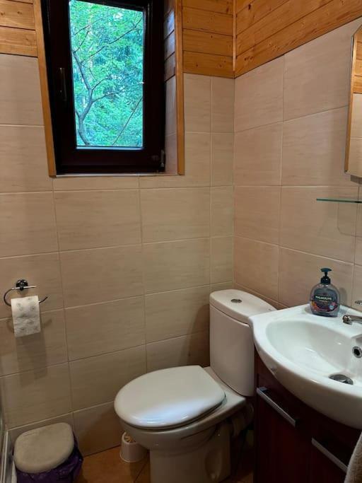 Lesna Nad Jeziorem Gim Na Mazurach Holiday home *