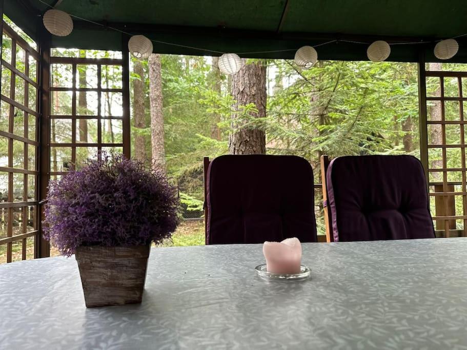 Lesna Nad Jeziorem Gim Na Mazurach Holiday home